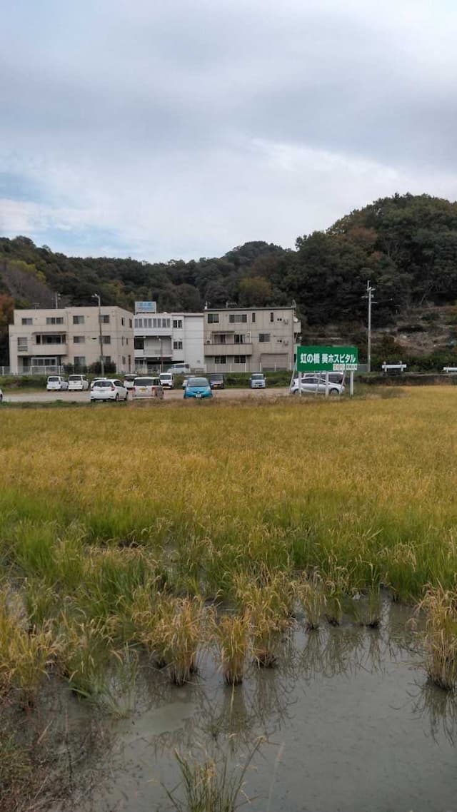 虹の橋葵ホスピタル